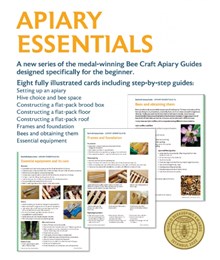 Apiary Essentials Beginners Guide