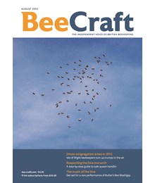 Bee Craft Aug 23
