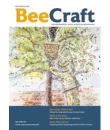 Bee Craft December 2022 front cover