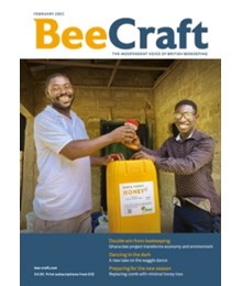 Bee Craft February 2023 front cover