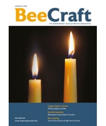 Bee Craft January 2023 front cover