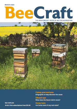 Bee Craft Magazine March 2023