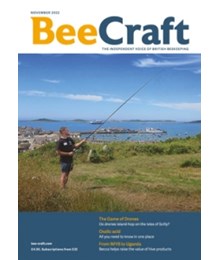 Bee Craft November 2022 front cover