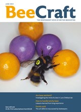 BeeCraft June 2023 front cover