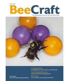 BeeCraft June 2023 front cover