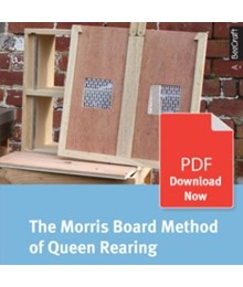 The Morris Board Method of Queen Rearing - Bee Craft Digital...