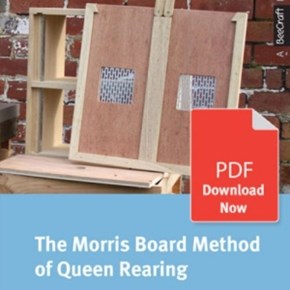 The Morris Board Method of Queen Rearing - Bee Craft Digital...
