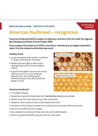 UPDATED & IMPROVED Brood Disease Recognition Guides